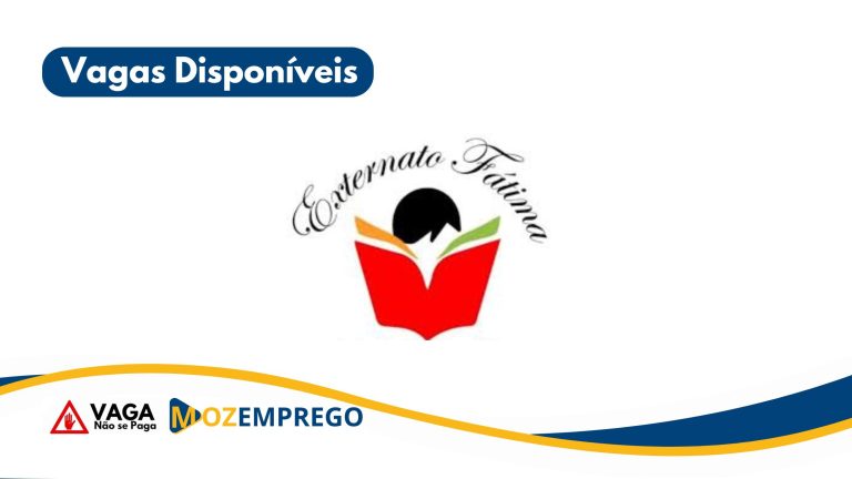 Professores (Ensino Primário e Secundário)