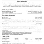Exemplo de curriculo ATS Classico baixe e personalize