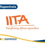 IITA- Instituto Internacional de Agricultura Tropical