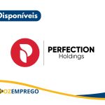 Perfection Holdings