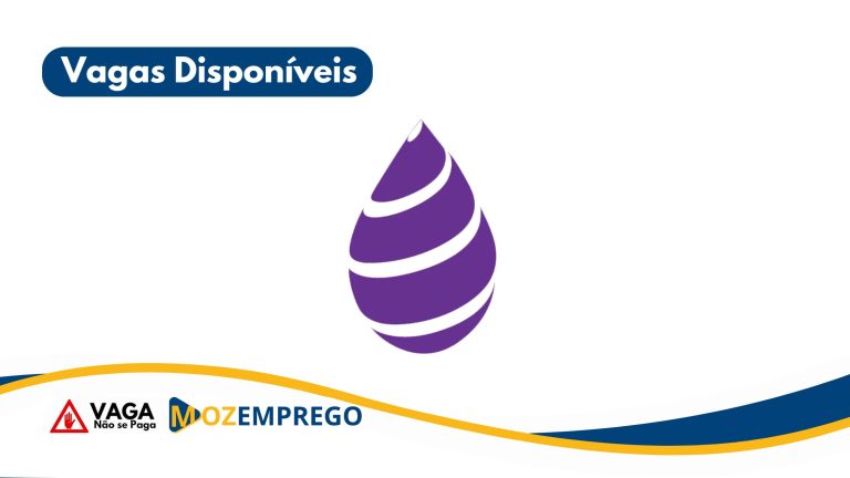 Contabilista Sénior