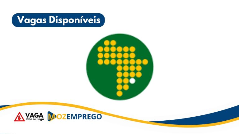 Assistentes de Ciências Sociais