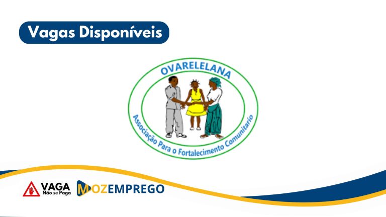 Analista e Digitador de Dados