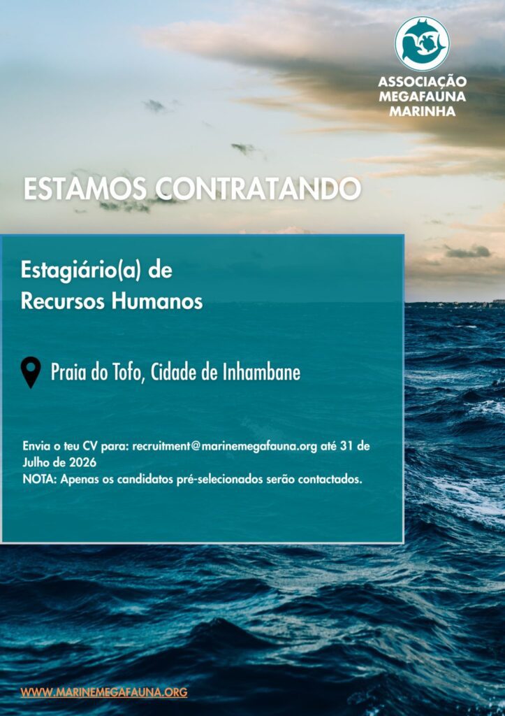 Estagiário/a de Recursos Humanos 2 Oportunidade de Estagio em Recursos Humanos Inhambane AMM
